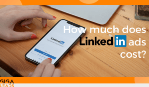 How much does LinkedIn ads cost?